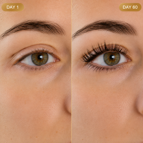 SeraFolle Peptide Lash Renewal Serum